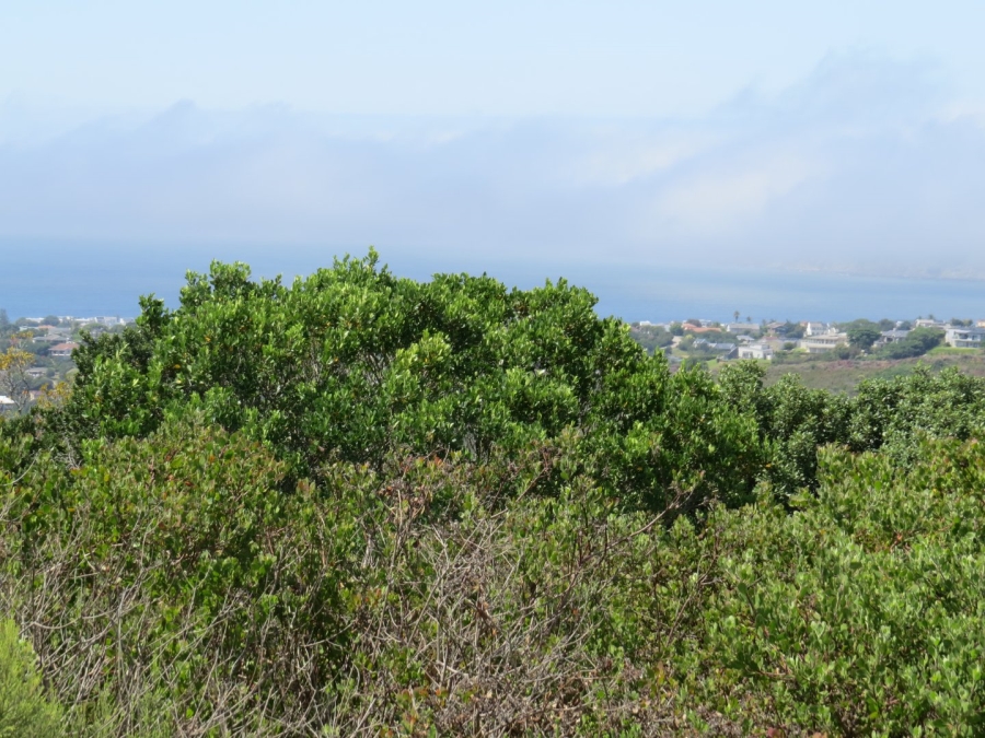Commercial Property for Sale in Schoongezicht Western Cape